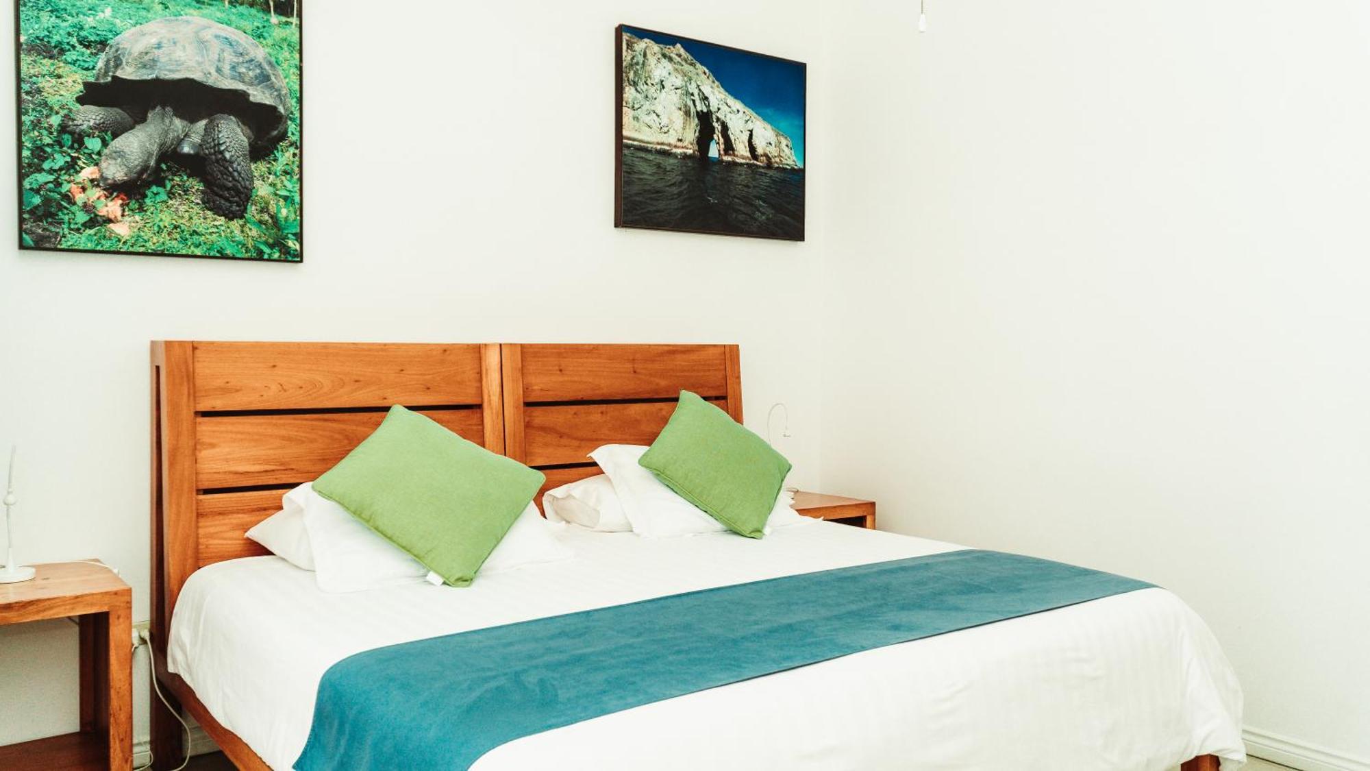 Hotel Albemarle بْوُرتو فيلاميل المظهر الخارجي الصورة