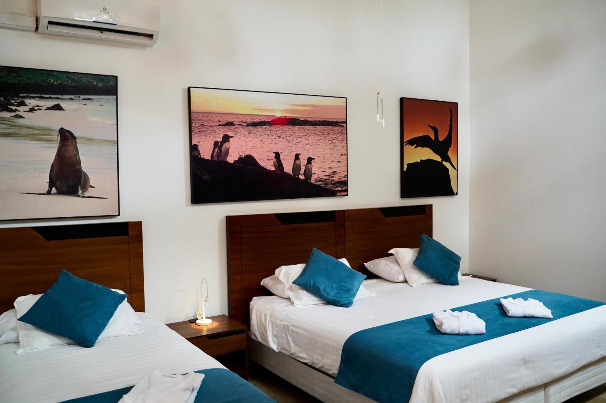 Hotel Albemarle بْوُرتو فيلاميل المظهر الخارجي الصورة